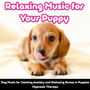 收听Relax My Puppy的Puppy Sleep Therapy歌词歌曲