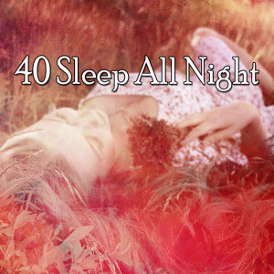 ดาวน์โหลดและฟังเพลง Quick Naps พร้อมเนื้อเพลงจาก Sleep Sounds of Nature