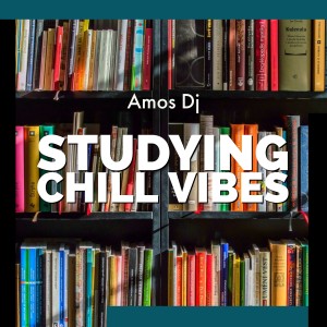 Studying chill vibes
