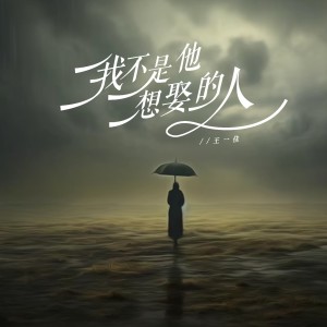 收聽王一佳的我不是他想娶的人歌詞歌曲