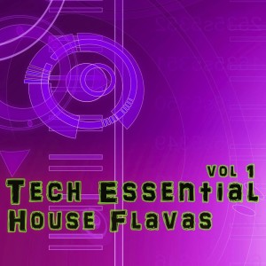 Various Artists的專輯Tech Essential House Flavas, Vol. 1