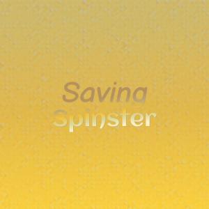 Various的专辑Saving Spinster