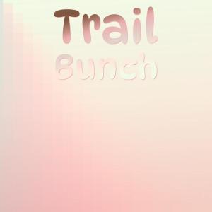 Various Artists的專輯Trail Bunch