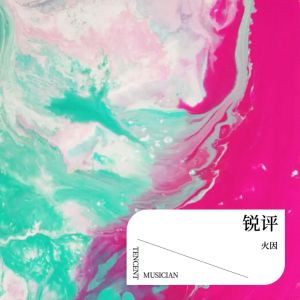 Album 锐评 from 火因