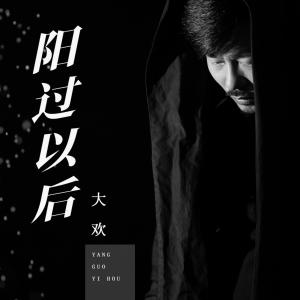 Album 阳过以后 from 大欢