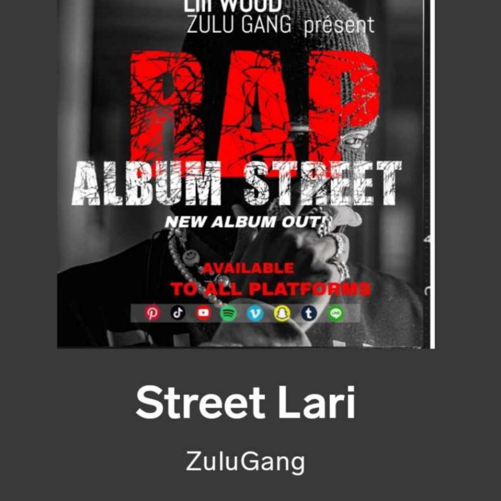 ZuGang Shit Baby (feat. Gucci) (Explicit)