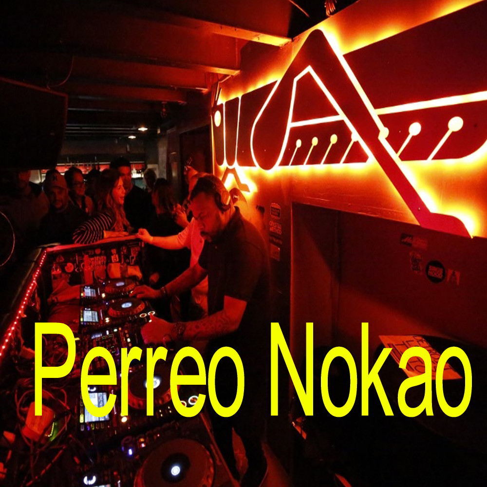 Perreo Nokao