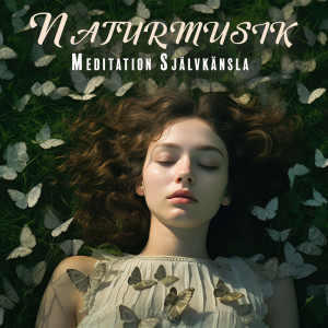Album Naturmusik (Meditation Självkänsla) from Zen atmosfär av lugnt vatten