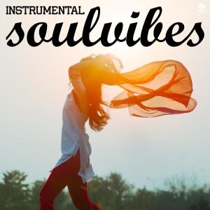 Album Instrumental Soul Vibes from 