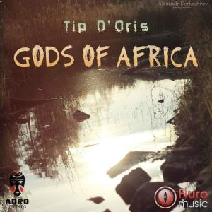 Album Gods Of Africa from Tip D'Oris