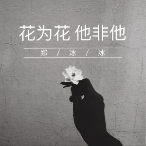Dengarkan lagu 花为花他非他 (伴奏) nyanyian 郑冰冰 dengan lirik