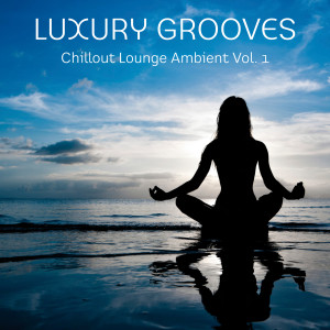 Chillout Lounge Ambient Vol. 1