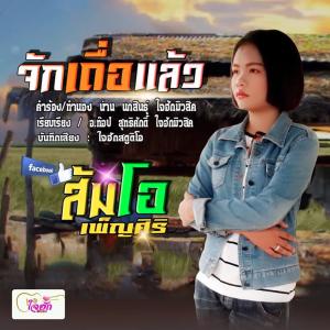 ดาวน์โหลดและฟังเพลง จักเถื่อแล้ว พร้อมเนื้อเพลงจาก ส้มโอ เพ็ญศิริ