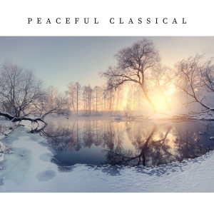 George Frideric Handel的專輯Peaceful Classical