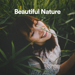 อัลบัม Beautiful Nature ศิลปิน Various Artists