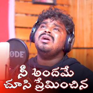 Album Ni Andhame Chusi Preminchina from 