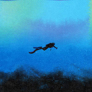 Dengarkan The Diver lagu dari Peep dengan lirik
