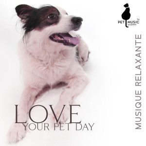 Album Love Your Pet Day (Calming Music for Dogs with Anxiety, Reiki Therapy for Animals) oleh Pet Music Academy