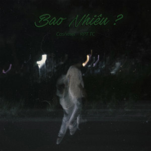 Listen to Bao Nhiêu ? song with lyrics from Cashmel