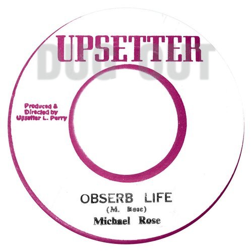 Observe Life