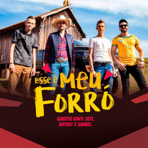 Album Esse É Meu Forró from 