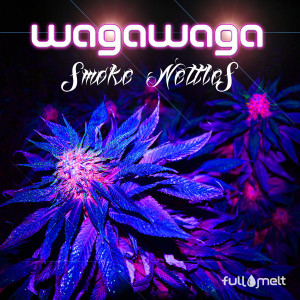 ดาวน์โหลดและฟังเพลง Slurred Dubs พร้อมเนื้อเพลงจาก wAgAwAgA