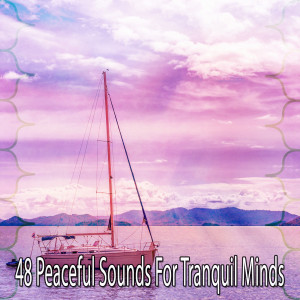 Dengarkan lagu Buddhists Mountain nyanyian Relaxing Mindfulness Meditation Relaxation Maestro dengan lirik