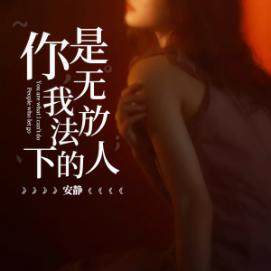 收聽安静的你是我無法放下的人歌詞歌曲