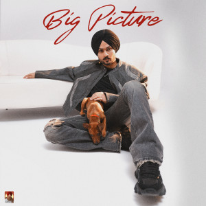 Album Big Picture from Himmat Sandhu