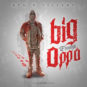Listen to Big Oppa Freestyle (Explicit) song with lyrics from Stu R Tillery