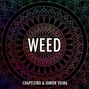 ดาวน์โหลดและฟังเพลง Weed (Explicit) พร้อมเนื้อเพลงจาก Chapeleiro