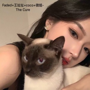 ดาวน์โหลดและฟังเพลง TakeMeAway (抖音柔情) พร้อมเนื้อเพลงจาก Faded