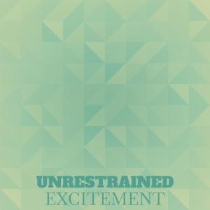 Unrestrained Excitement dari Various