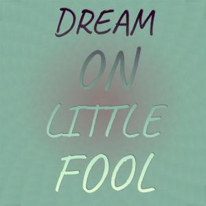 อัลบัม Dream On Little Fool ศิลปิน Silvia Natiello-Spiller