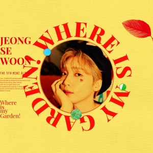 Listen to Roller Coaster song with lyrics from JEONG SEWOON
