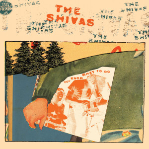 ดาวน์โหลดและฟังเพลง Stalking Legs พร้อมเนื้อเพลงจาก The Shivas