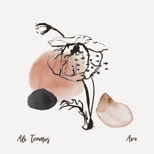 ดาวน์โหลดและฟังเพลง Ava พร้อมเนื้อเพลงจาก Ali Termos