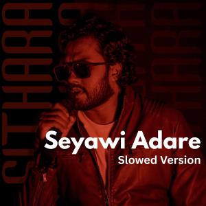 Album Seyawi Adare  (Slowed Version) from 