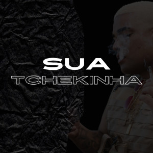 ดาวน์โหลดและฟังเพลง Sua Tchekinha (Explicit) พร้อมเนื้อเพลงจาก DJ GB De Venda Nova
