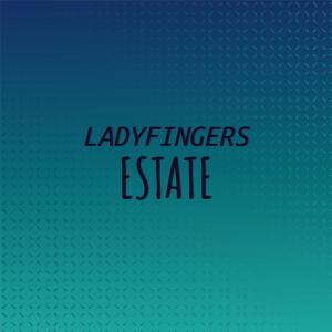 Dengarkan Confrontation Remix lagu dari Zett Orell dengan lirik