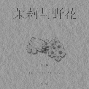 Album 茉莉与野花 from 空