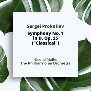 The Philharmonia Orchestra的专辑Prokofiev: Symphony No. 1 in D, Op. 25 ("Classical")