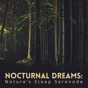 Sleep Star的專輯Nocturnal Dreams: Nature's Sleep Serenade