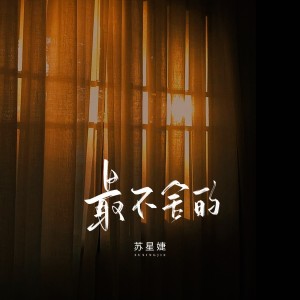 Album 最不舍的 from 苏星婕