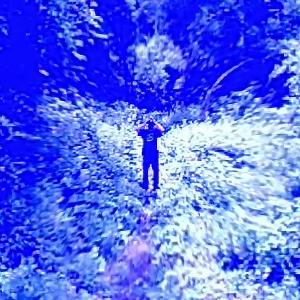 收聽GULO的CHELSEA LATELY歌詞歌曲