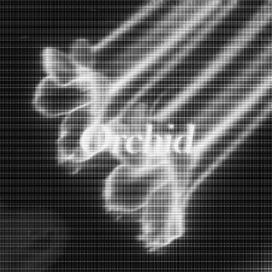 Album Orchid oleh OLOGI