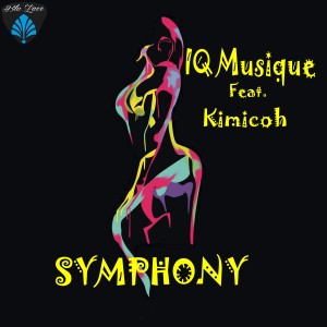 收聽IQ Musique的Symphony (Night Dub Mix)歌詞歌曲
