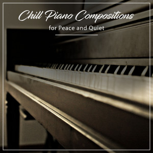 Gentle Piano Music, Piano Masters, Classic Piano的專輯#16 Chilled Piano Compositions for Peace and Quiet