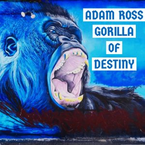 收听Adam Ross的Smoke And Mirrors歌词歌曲
