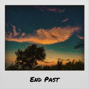 Various Artists的专辑End Past